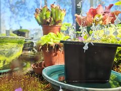 -国家植物园南园