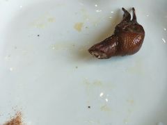 -新加坡泰国村酒楼(五角场店)