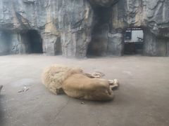 -南昌动物园