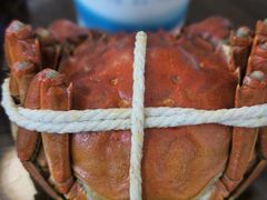 -乡乐园蟹庄·阳澄湖农家乐