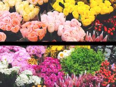 -平吉花卉市场