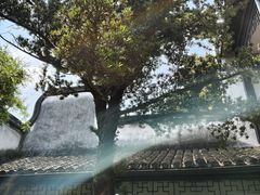 -乌镇东栅景区-茅盾故居