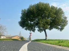 -良渚古城遗址公园