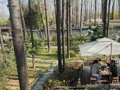 -林间山庄