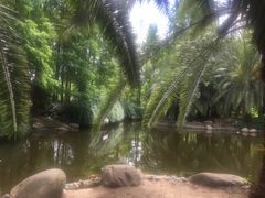 -苏州河梦清园环保主题公园