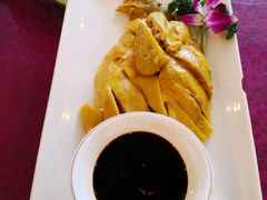 白切鸡-旭龙鱼头王(航华店)