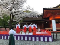 -富士山本宫浅间大社