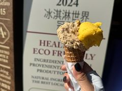-Gelateria Dondoli