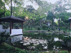 -深圳国际园林花卉博览园