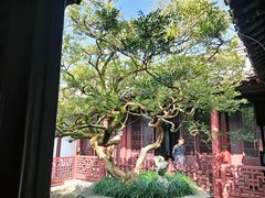 -水绘园