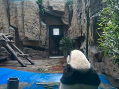 -成都动物园