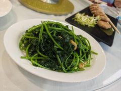 -华南师范大学石牌校区陶园