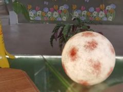 -Dragon Pizza•圆脸龙披萨·牛排餐厅