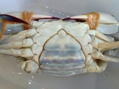 -蓝珊甄选海鲜自助·火锅大排档(近阿那亚店)