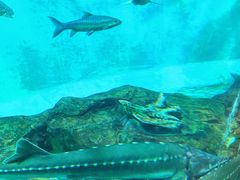 -太平洋海底世界