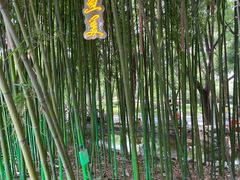 -东坡赤壁风景名胜区
