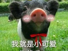 -川府沸腾鱼