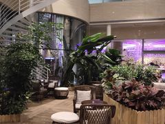 -青岛海尔洲际酒店