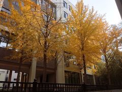 -北京师范大学附属中学