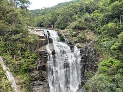-海南热带雨林国家公园吊罗山景区