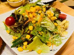蔬菜色拉-割烹酱子日本料理(弘基财富广场店)
