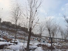 -小绿谷公园