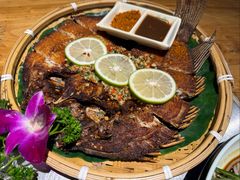 -云尊府云南菜·蒸汽石锅鱼(学清路店)