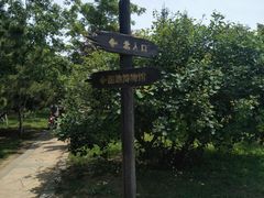 -前关湿地公园
