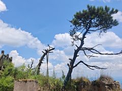 -娄山关景区