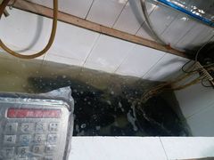 -笑红饭庄