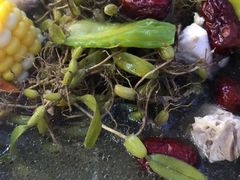 石橄榄炖鸡-洪大厨鸡煲(福田店)