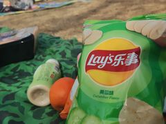 -象湖生态湿地公园