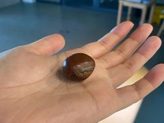 -隆美栗园(活力城店)