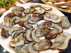 -草墩罗非鱼庄•野生菌•腊排骨(七星街上段店)