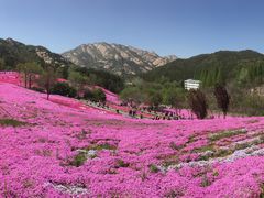 -昆嵛山石门里景区