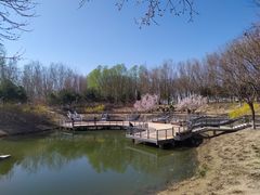 -大兴滨河森林公园