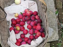 -小楠门·重庆老火锅(合江门店)