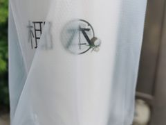 -津椰本·海南正宗椰奶清补凉(店一店)