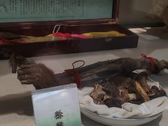 -广东中医药博物馆