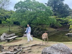 -奈良公园