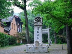 -灵谷景区