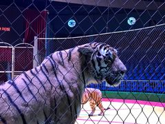 -西安秦岭野生动物园