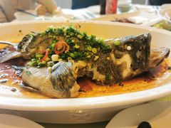 -皇朝尊会(龙之梦大酒店)