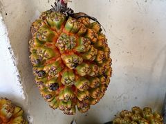 -其美潮州鱼旦粉世家(花城汇南区分店)