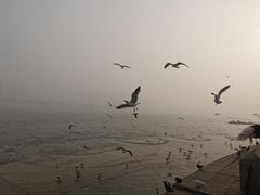 -星海广场