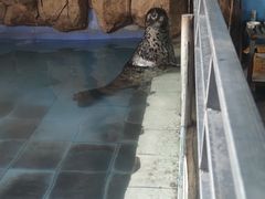 -新疆天山野生动物园