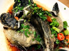 -渔傅印象滩涂霞浦海鲜(井大路店)