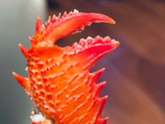 -嘉定凯悦·咖啡厅