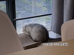 -Oasis绿洲银饰珍珠手作diy(壹方城店)