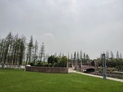 -艾溪湖湿地公园